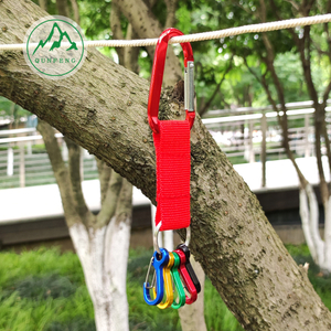 Carabiner en alliage en aluminium Définit la sangle à crochet de fil de camping extérieur avec un hameçon de sac à dos de trousseau
